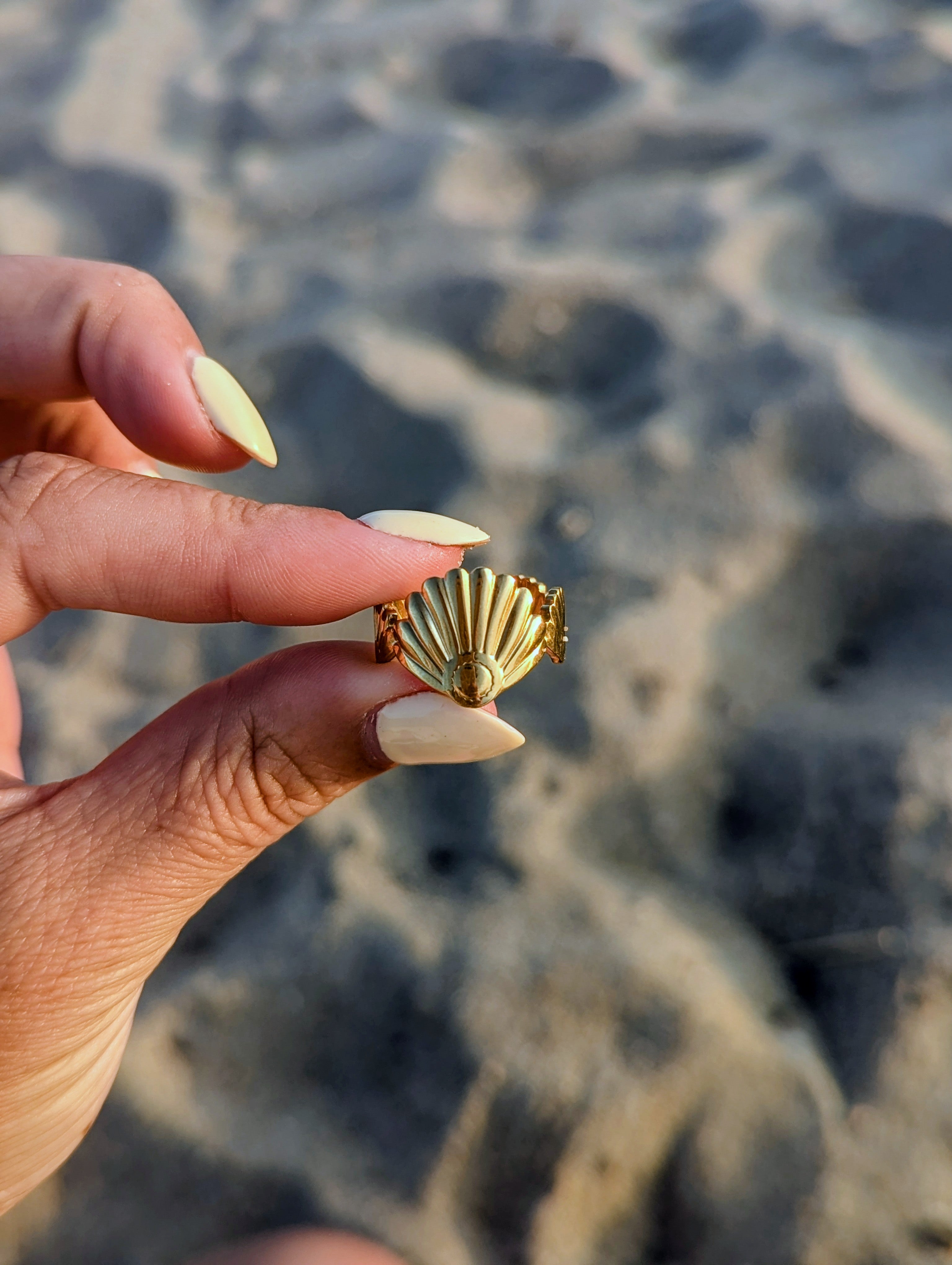 Bague en acier inoxydable coquillage, océan mode femme sud landes