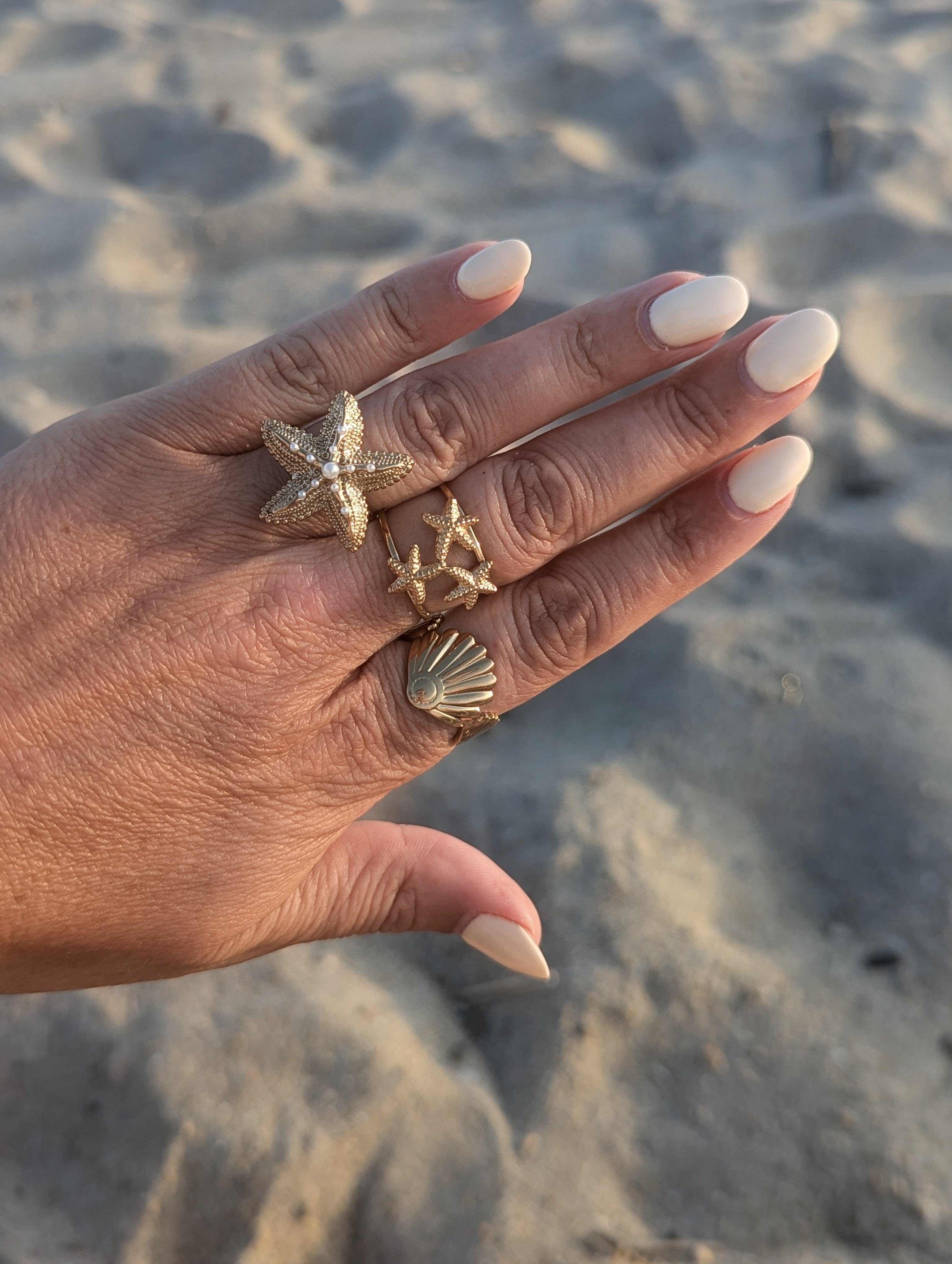 Bagues en acier inoxydable étoile de mer, coquillage, océan mode femme sud landes