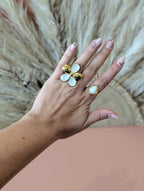 Collection  Blanche