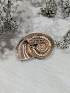 Broche Armelle